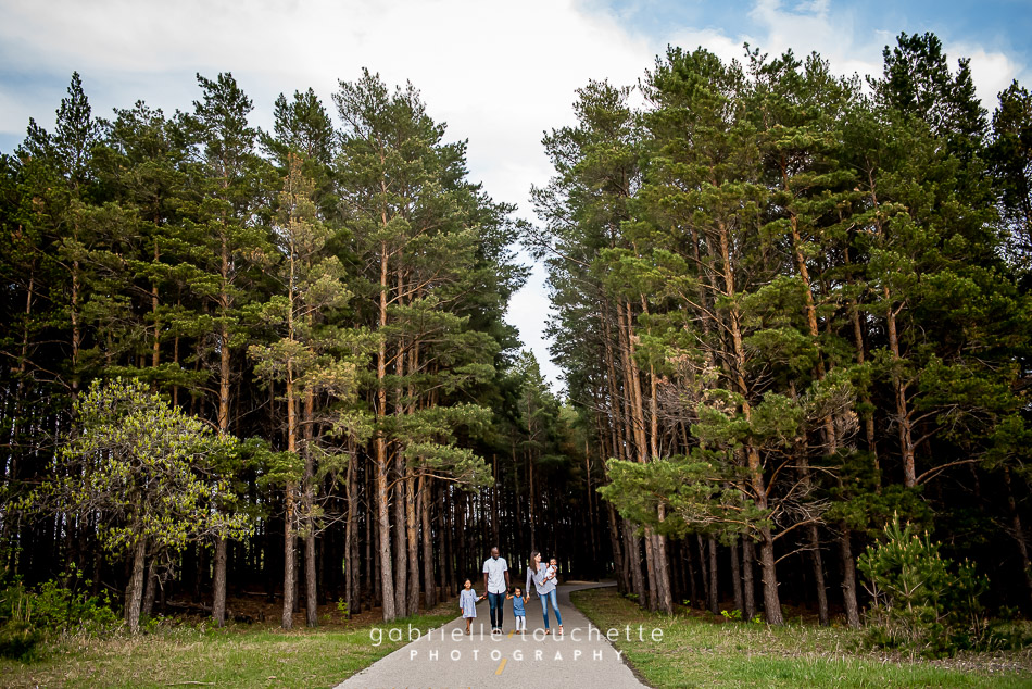 A tall evergreen forest in Manitoba popular for family photography