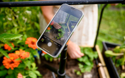 My Top 4 Tools for iPhone Photos and Videos